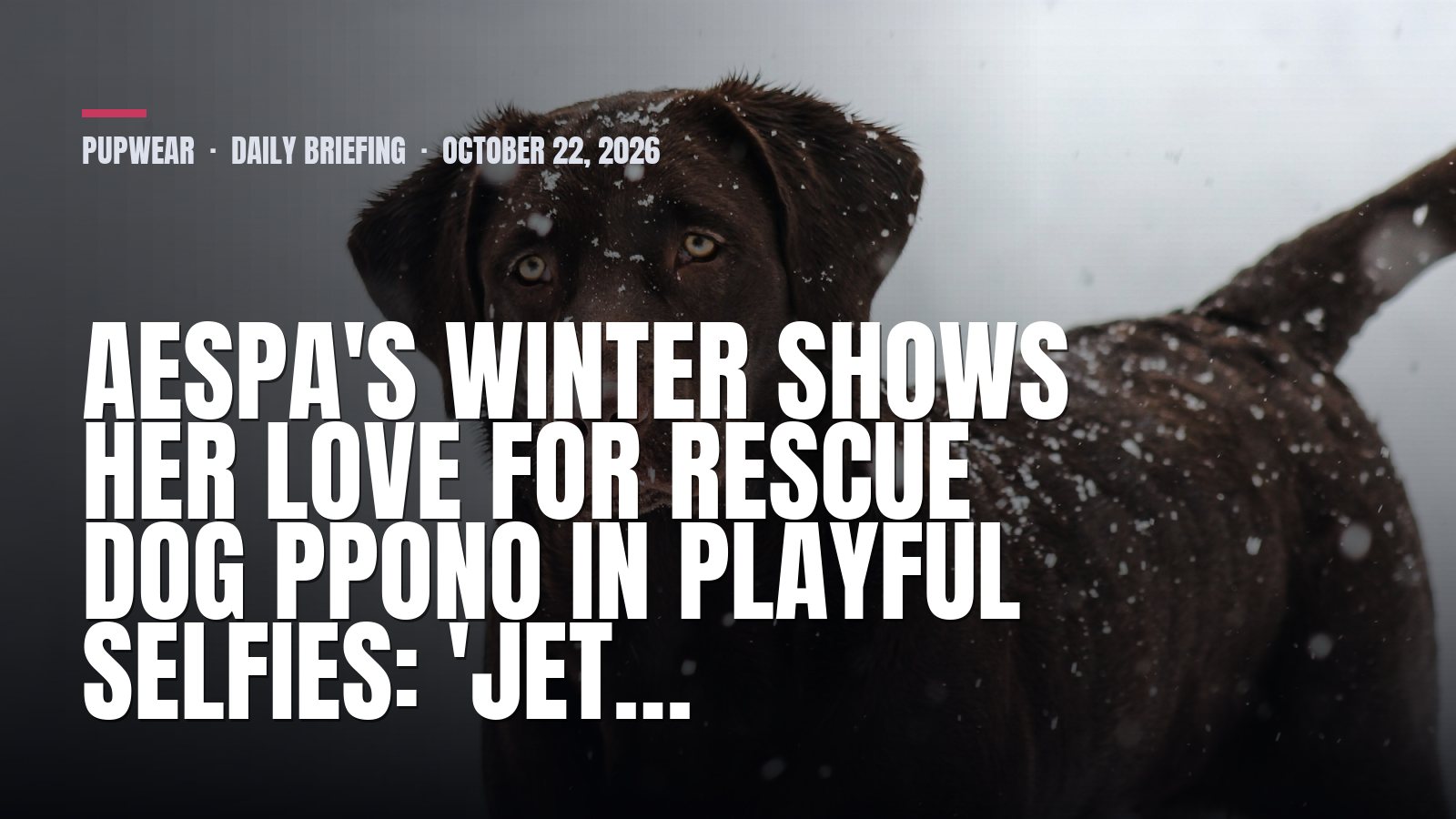 Pupwear daily briefing: aespa's Winter shows her love for rescue dog Ppono in playful selfies: 'Jet…