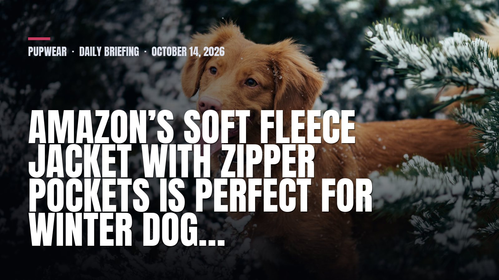 Pupwear daily briefing: Amazon’s Soft Fleece Jacket with Zipper Pockets Is Perfect for Winter Dog…