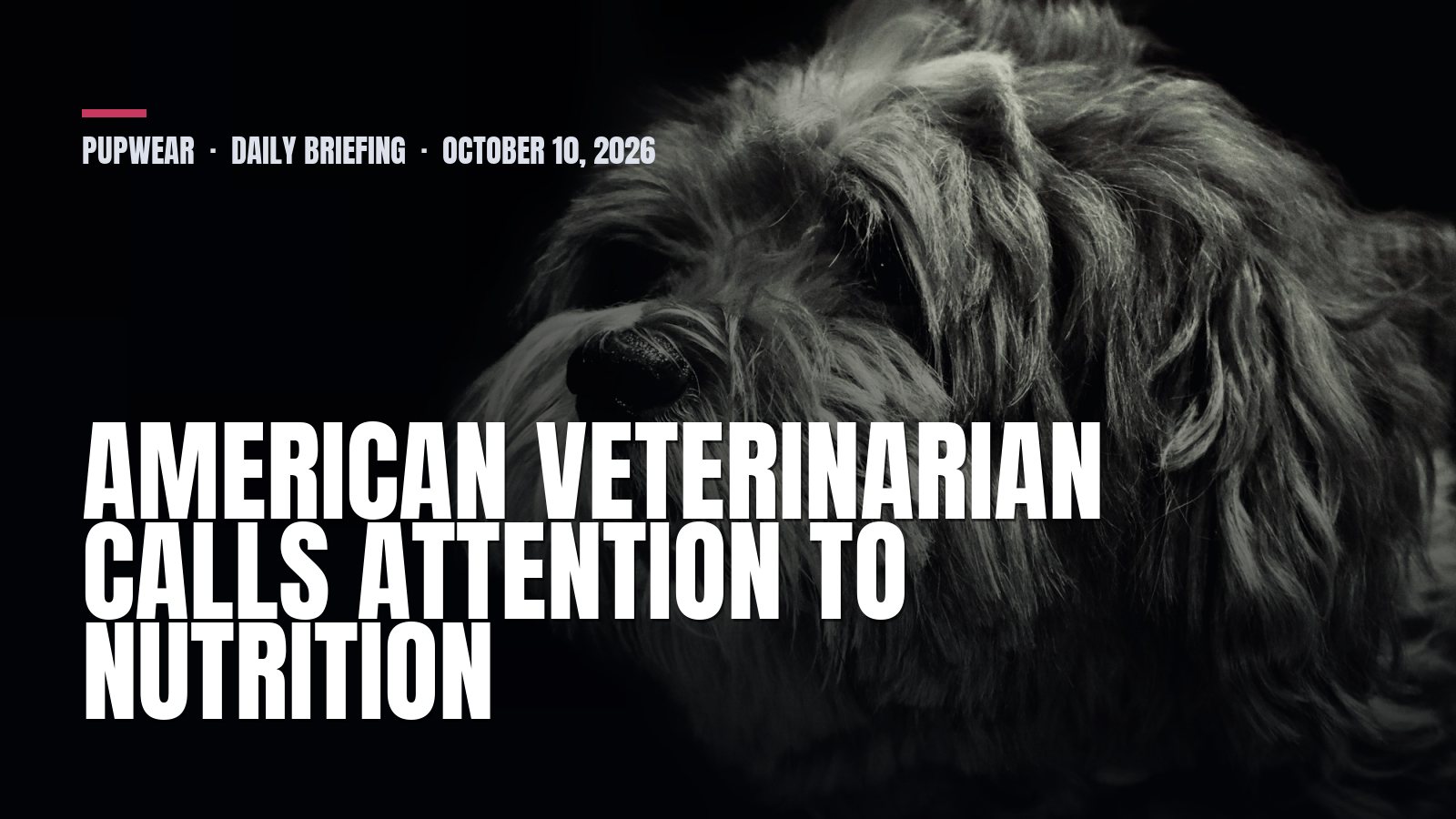 Saturday Dog Briefing: American veterinarian calls attention to nutrition