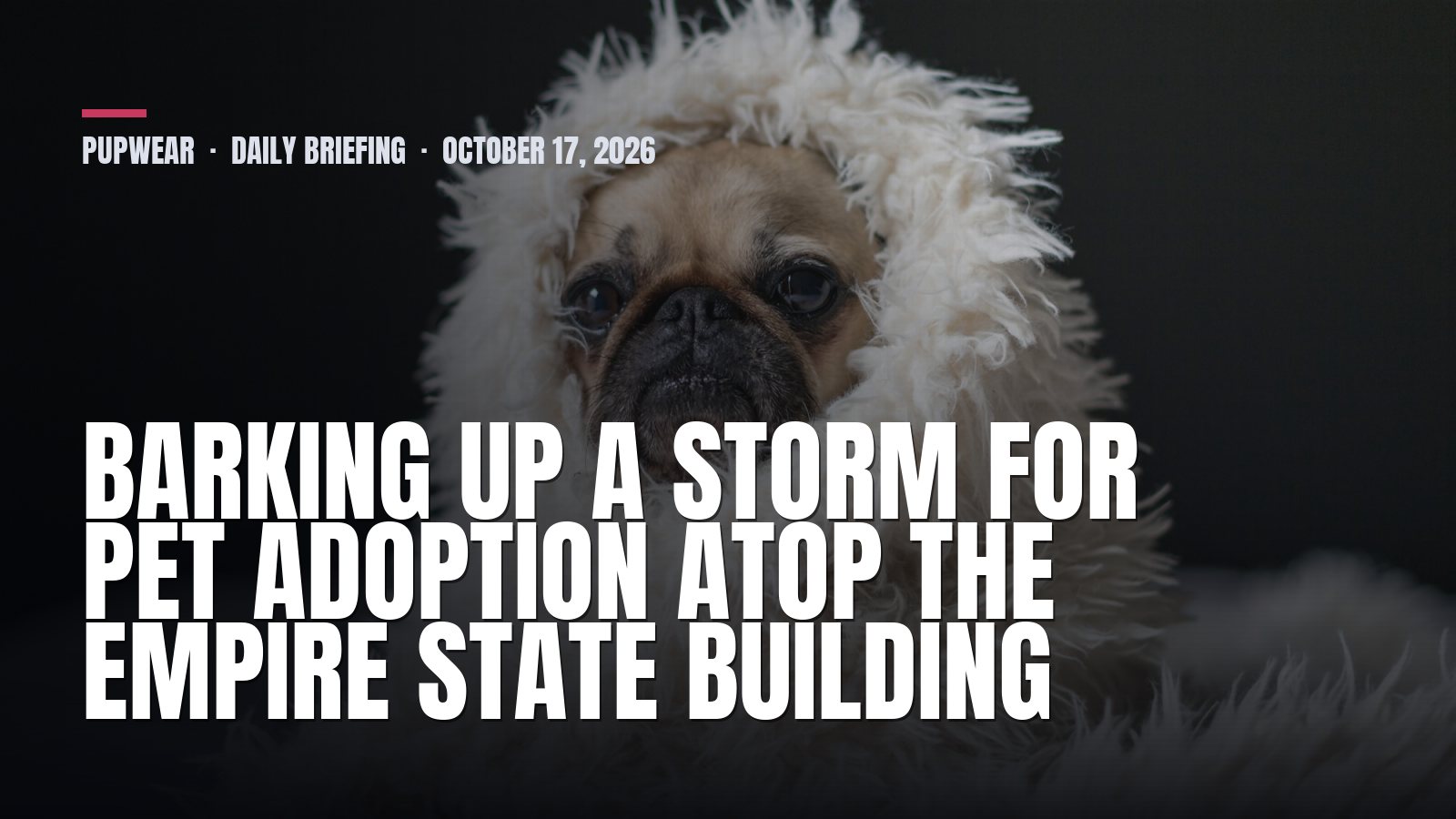 Pupwear daily briefing: Barking Up a Storm for Pet Adoption Atop the Empire State Building