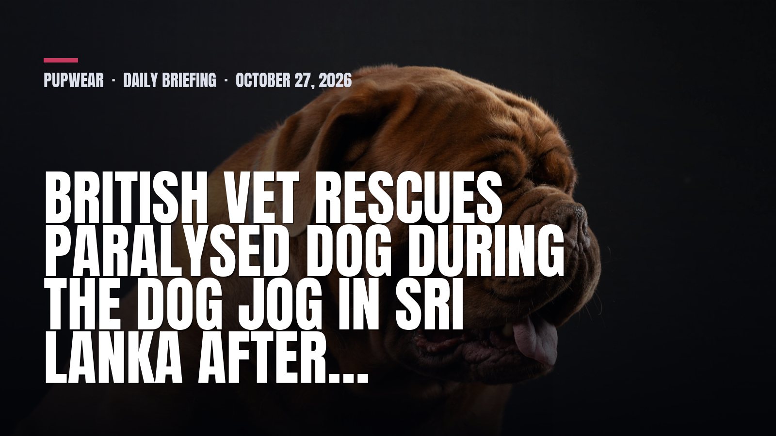 Pupwear daily briefing: British vet rescues paralysed dog during the Dog Jog in Sri Lanka after…