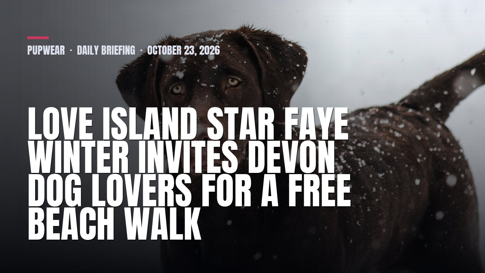 Pupwear daily briefing: Love Island star Faye Winter invites Devon dog lovers for a free beach walk