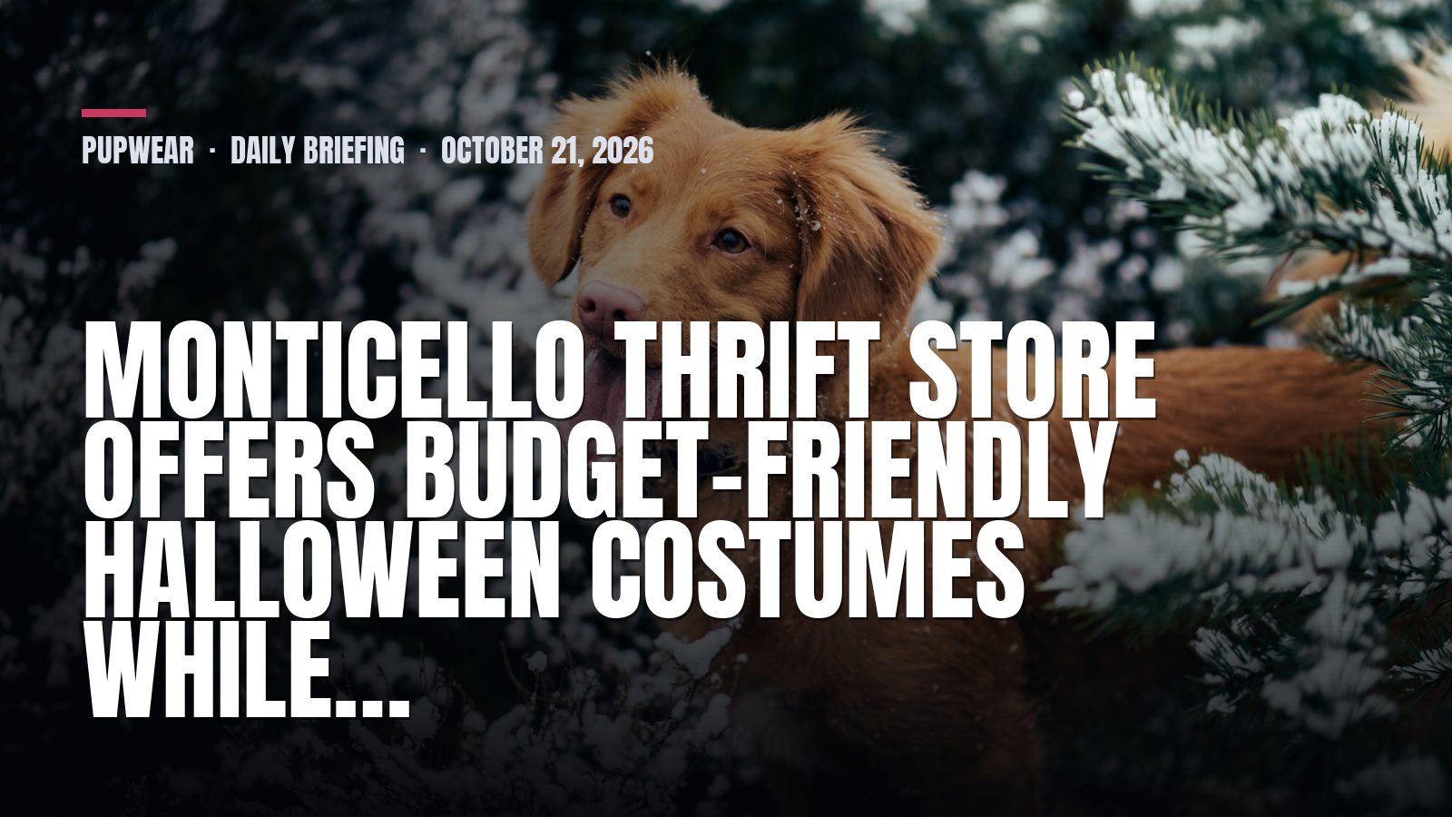 Pupwear daily briefing: Monticello thrift store offers budget-friendly Halloween costumes while…