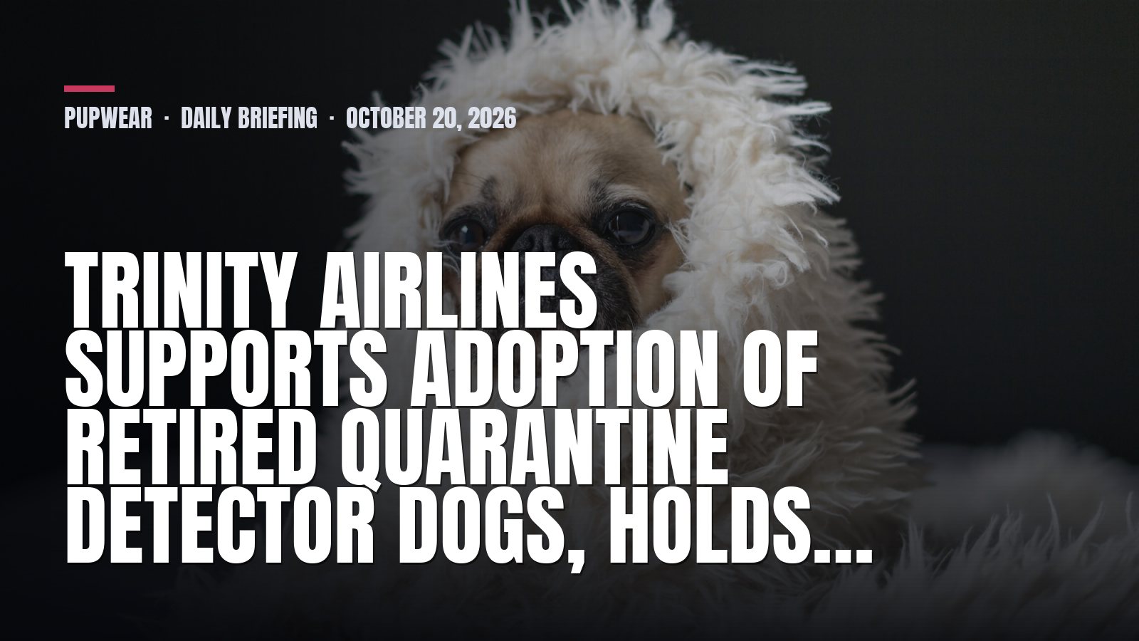 Tuesday Dog Briefing: Trinity Airlines supports adoption of retired quarantine detector dogs, holds…