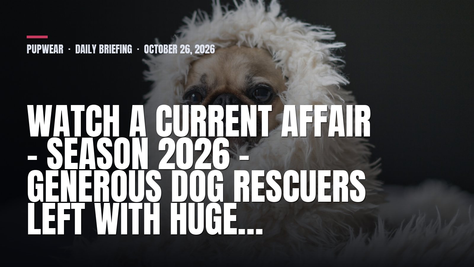 Pupwear daily briefing: Watch A Current Affair - Season 2026 - Generous dog rescuers left with huge…