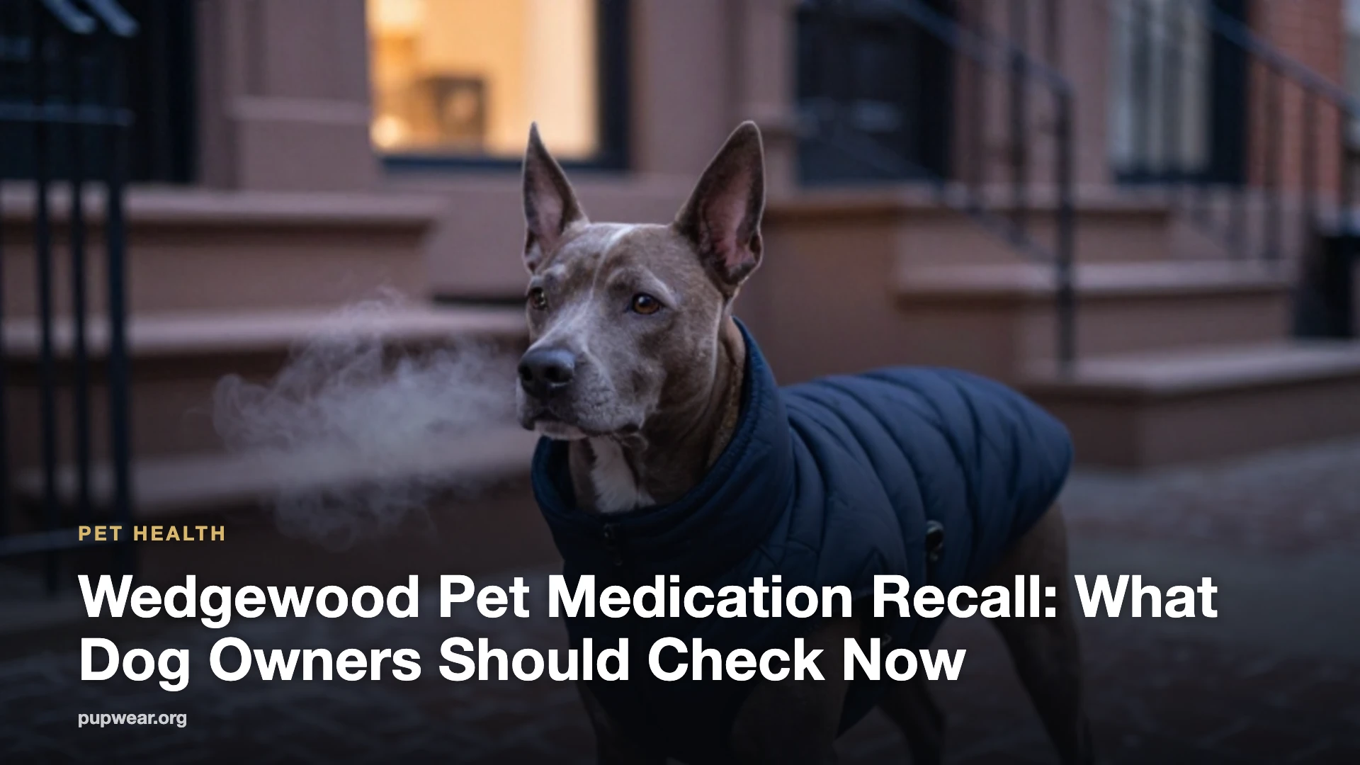 Wedgewood Pet Medication Recall: What Dog Owners Should Check Now